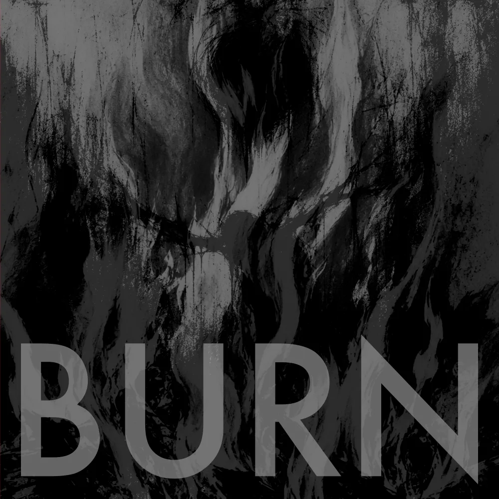 DUSTPONY — Burn single cover